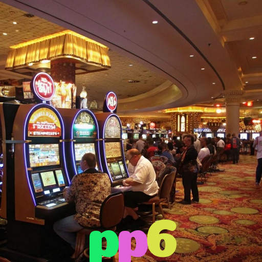 pp6